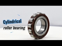 61243YSX κυλινδρικό κυλίνδριο κλουβί νάιλον εκκεντρικό ρουλέν Koyo 61243 YSX για κιβώτιο ταχυτήτων 22*58*32 mm