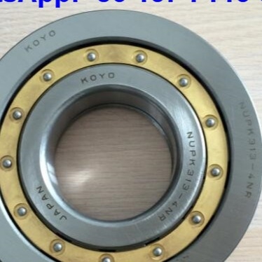 NUP313-4N Κύλινδροι ρυμουλκούμενοι NUPK313-4NRS02C3 ρυμουλκούμενοι με δαχτυλίδι ρυμουλκούμενου